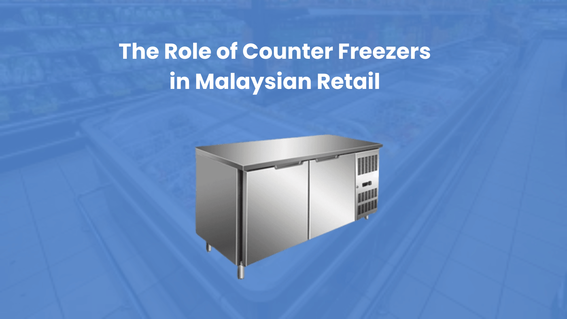 Counter Freezer Malaysia | Essential Freezers for Retail by Wen Ho